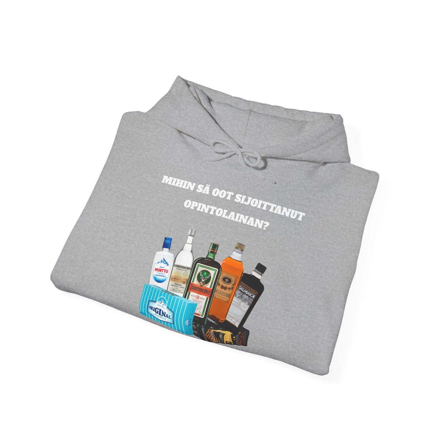 Mihin sä oot sijoittanut opintolainan huppari